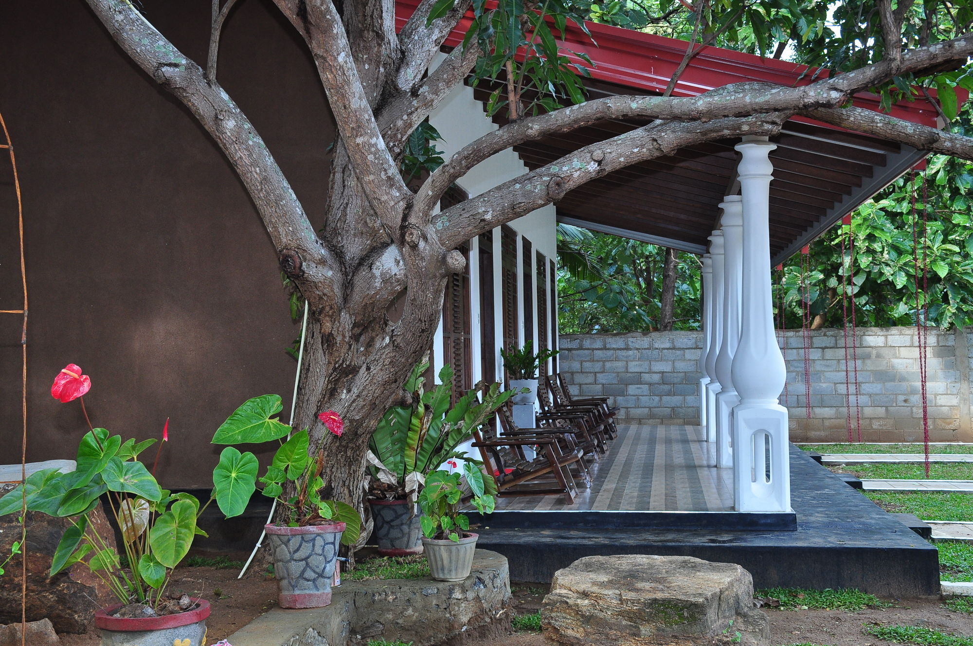 Winmi Resort Habarana Exterior photo